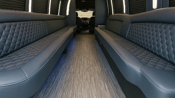 20 passenger party bus interior